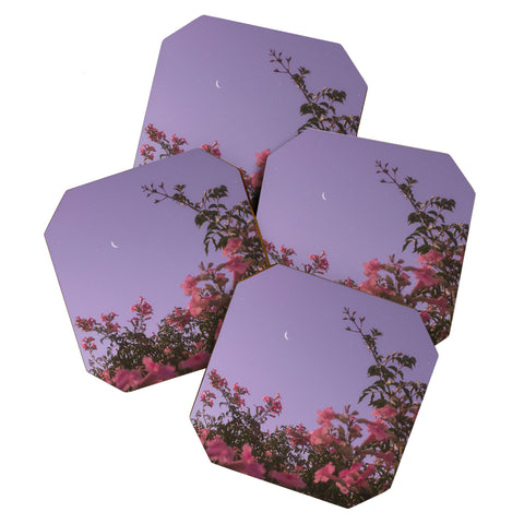 Matias Alonso Revelli podranea ricasoliana Coaster Set