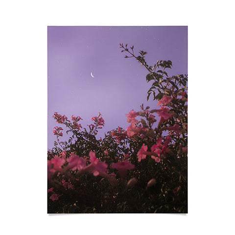 Matias Alonso Revelli podranea ricasoliana Poster