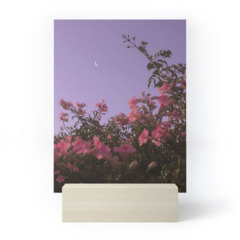 Matias Alonso Revelli podranea ricasoliana Mini Art Print