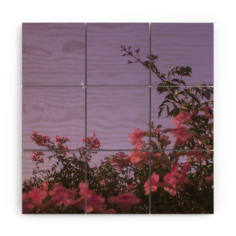 Matias Alonso Revelli podranea ricasoliana Wood Wall Mural