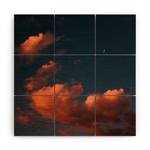 Matias Alonso Revelli sigh Wood Wall Mural