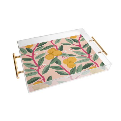 Megan Galante Arancia Acrylic Tray
