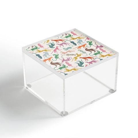 Megan Galante Cheetah Poster Acrylic Box