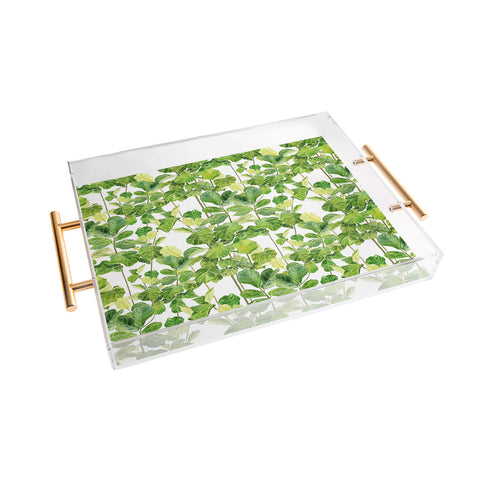 Melly Terpening Fiddle Leaves Fig Watercolor Acrylic Tray