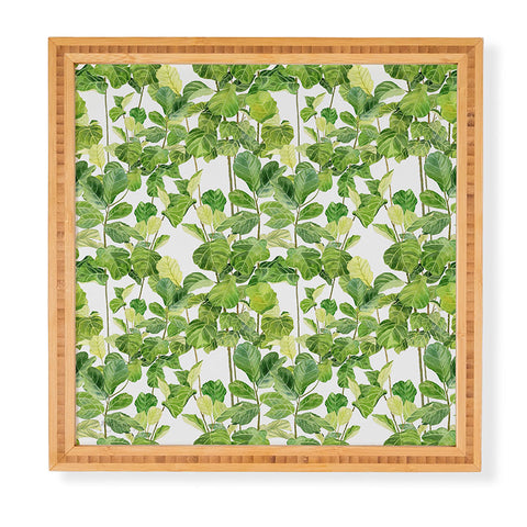 Melly Terpening Fiddle Leaves Fig Watercolor Framed Wall Art