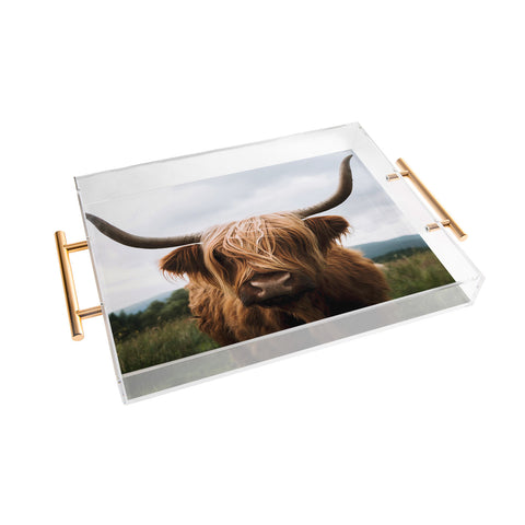 Michael Schauer Scottish Highland Cattle Acrylic Tray