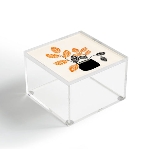 Mirimo Apartment Plant Acrylic Box
