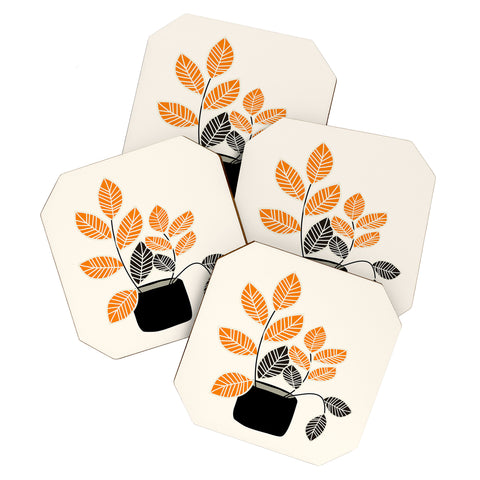 Mirimo Apartment Plant Coaster Set