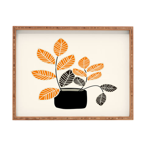 Mirimo Apartment Plant Rectangular Tray