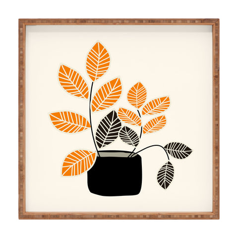 Mirimo Apartment Plant Square Tray