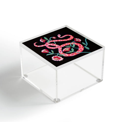 Misha Blaise Design Garden Snake Acrylic Box