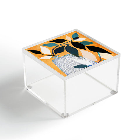 Modern Tropical Ivy in the Courtyard Acrylic Box