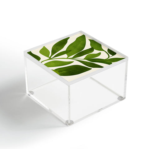 Modern Tropical The Wanderer House Plant Illustration Acrylic Box