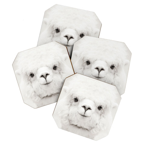 Monika Strigel SMILING ALPACA by MS Coaster Set