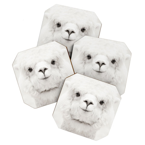 Monika Strigel SMILING ALPACA Coaster Set