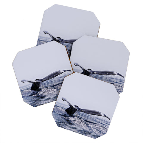 Monika Strigel WHALE SONG THE DEEP DIVE BLUE Coaster Set