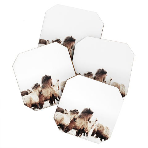Monika Strigel WILD AND FREE 2 HORSES OF ICE Coaster Set