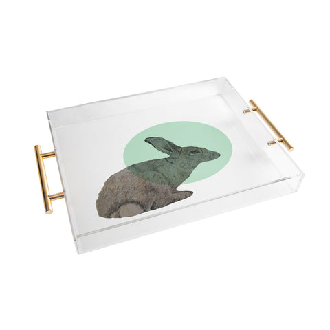 Morgan Kendall aqua rabbit Acrylic Tray