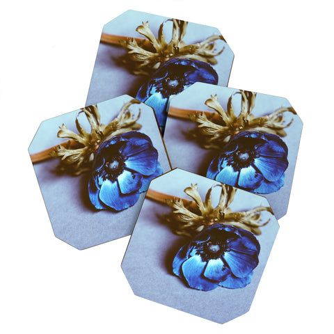 Morgan Kendall fleur Coaster Set