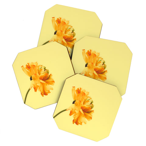 Morgan Kendall profile Coaster Set