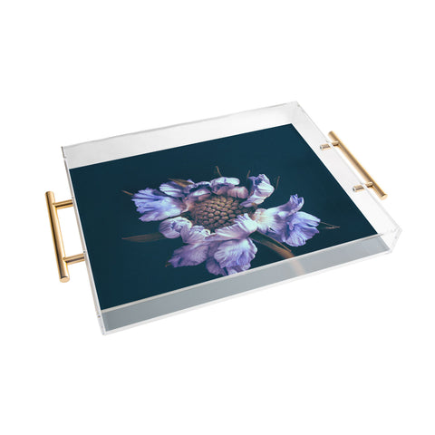 Morgan Kendall purple honeycomb Acrylic Tray