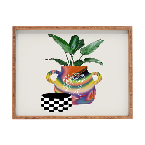 MsGonzalez A house plant Still life Rectangular Tray