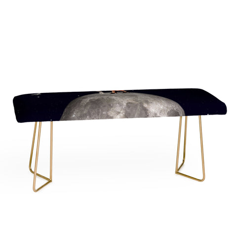 MsGonzalez Walking the Dog The Rocket Bench