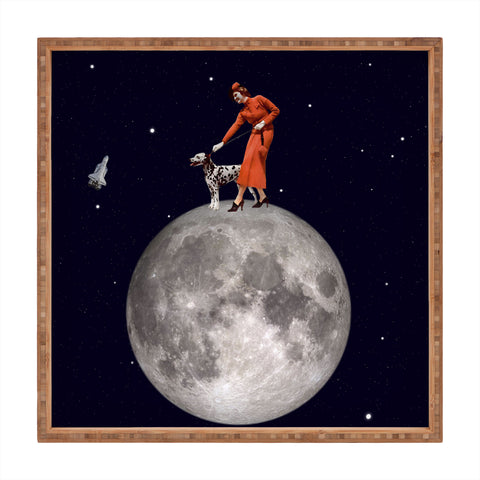 MsGonzalez Walking the Dog The Rocket Square Tray