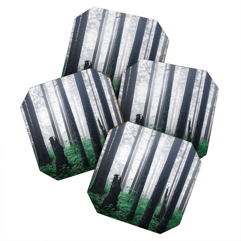 Nature Magick Forest Adventure Coaster Set