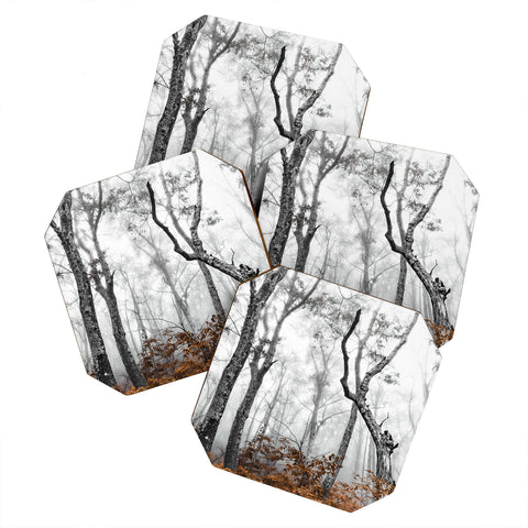 Nature Magick Mountain Forest Adventure Coaster Set