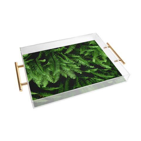 Nature Magick Pacific Northwest Forest Ferns Acrylic Tray