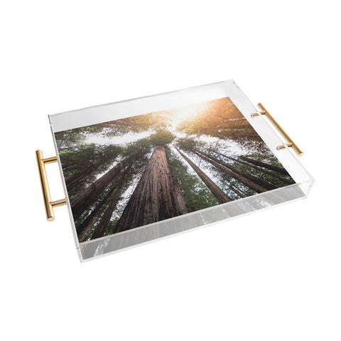 Nature Magick Redwood Forest Sky Acrylic Tray