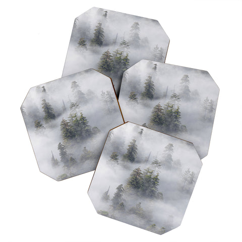 Nature Magick Redwood National Park Mist Coaster Set