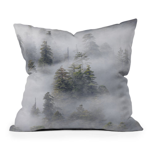 Nature Magick Redwood National Park Mist Outdoor Throw Pillow