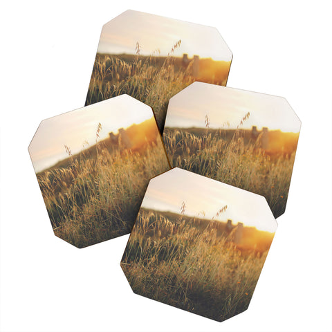 Ninasclicks Golden Beach vegetation at sunset Coaster Set