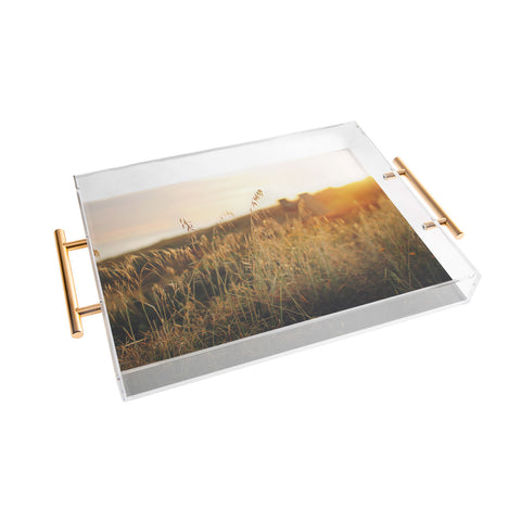 Ninasclicks Golden Beach vegetation at sunset Acrylic Tray
