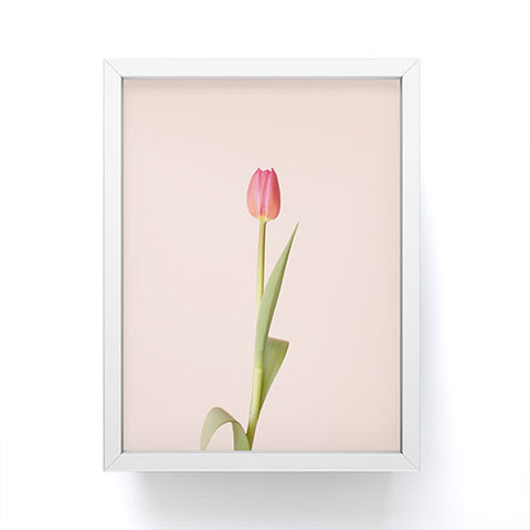 Ninasclicks The pink tulip Floral Framed Mini Art Print