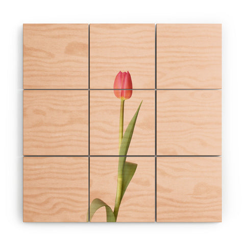 Ninasclicks The pink tulip Floral Wood Wall Mural