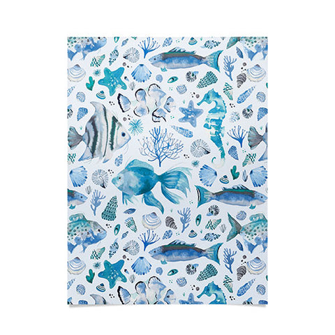 Ninola Design Sea Fishes Shells Aqua Poster