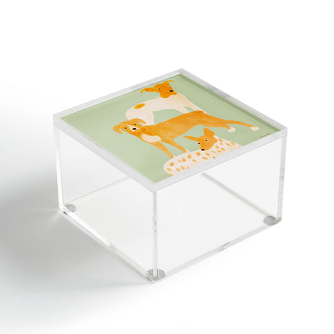 norarikka Three Dogs Lined Up Acrylic Box