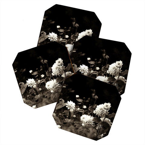 Olivia St Claire Black Dahlia Coaster Set