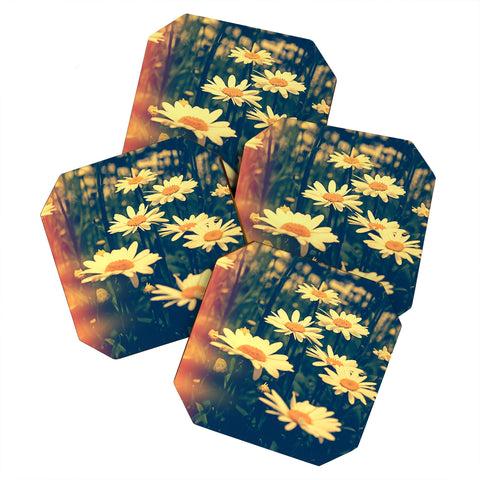 Olivia St Claire Daisies Coaster Set