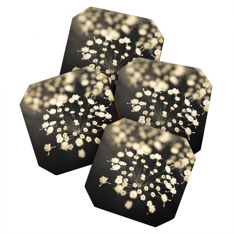 Olivia St Claire Finding Focus Coaster Set