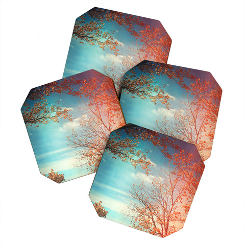 Olivia St Claire Overlook Coaster Set