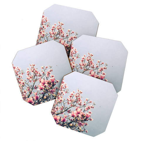 Olivia St Claire Pink Magnolia Coaster Set