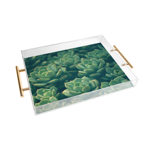 Olivia St Claire Succulents Acrylic Tray
