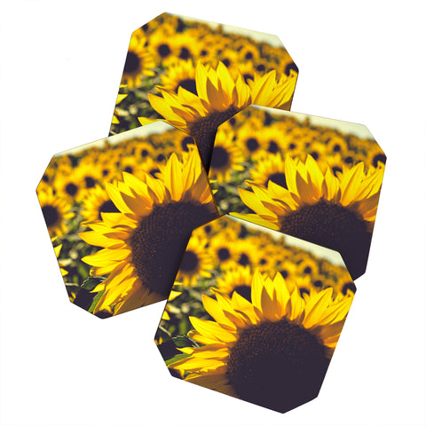 Olivia St Claire Summer Sunflower Love Coaster Set