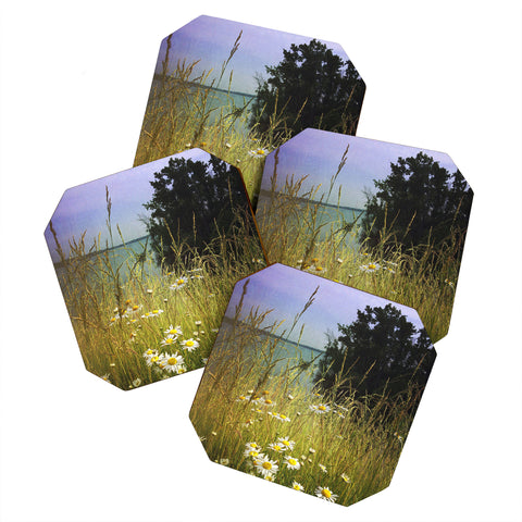 Olivia St Claire Wild Abandon Coaster Set