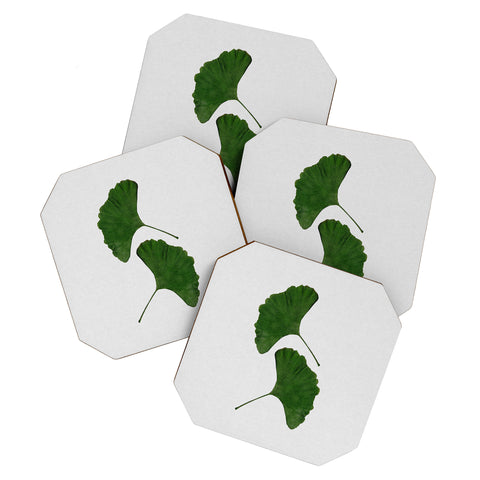 Orara Studio Ginkgo Leaf II Coaster Set