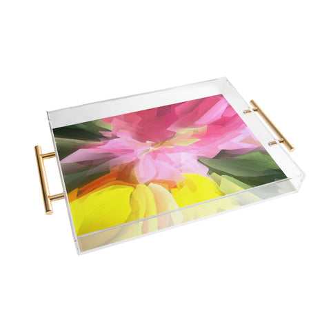 Paul Kimble Advance Acrylic Tray